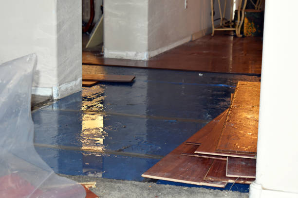 Professional Water Damage Restoration technician working in Long Beach, CA